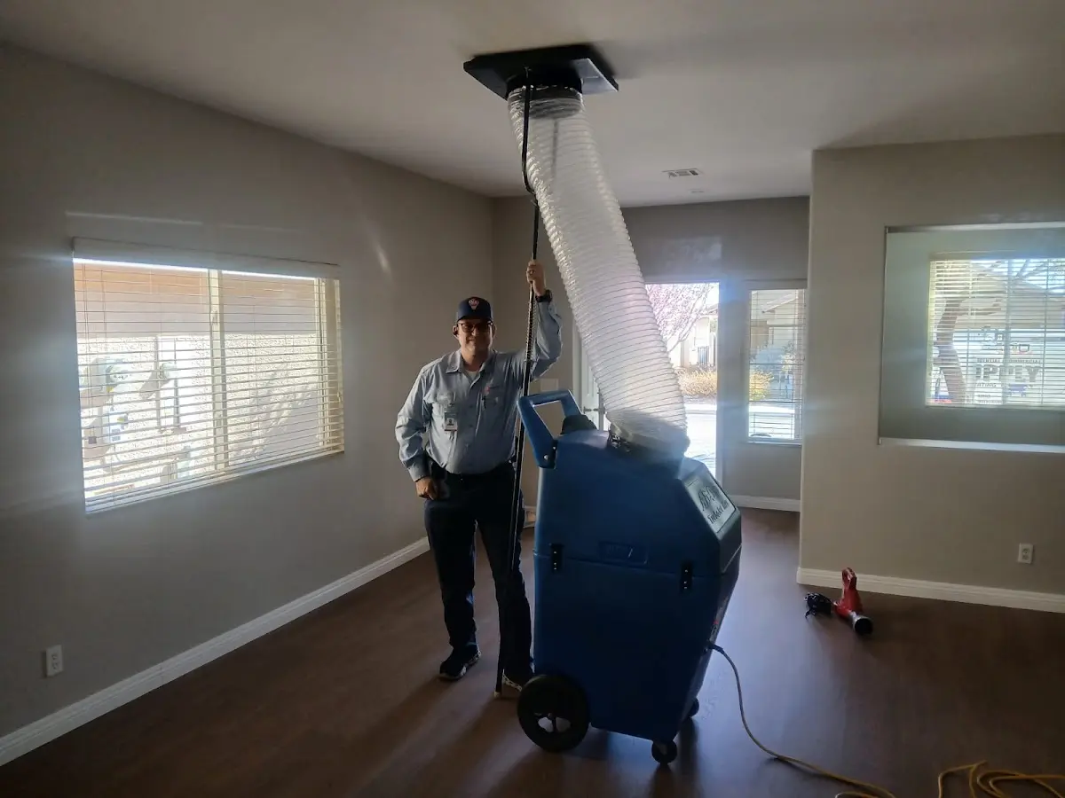 Professional Dryer Vent Cleaning work inside a New Albany home